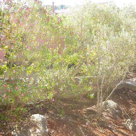 度假居 Seaside House Cove Gradina, Korcula - 13486 尼亚卢卡