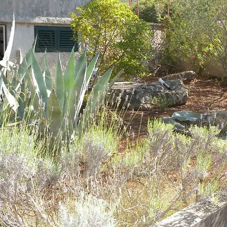 Seaside House Cove Gradina, Korcula - 13486 別荘 *