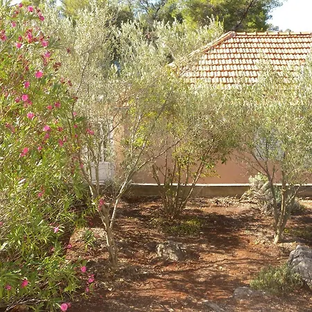 Seaside House Cove Gradina, Korcula - 13486